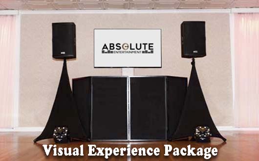 1-4 Visual Experience Web 2